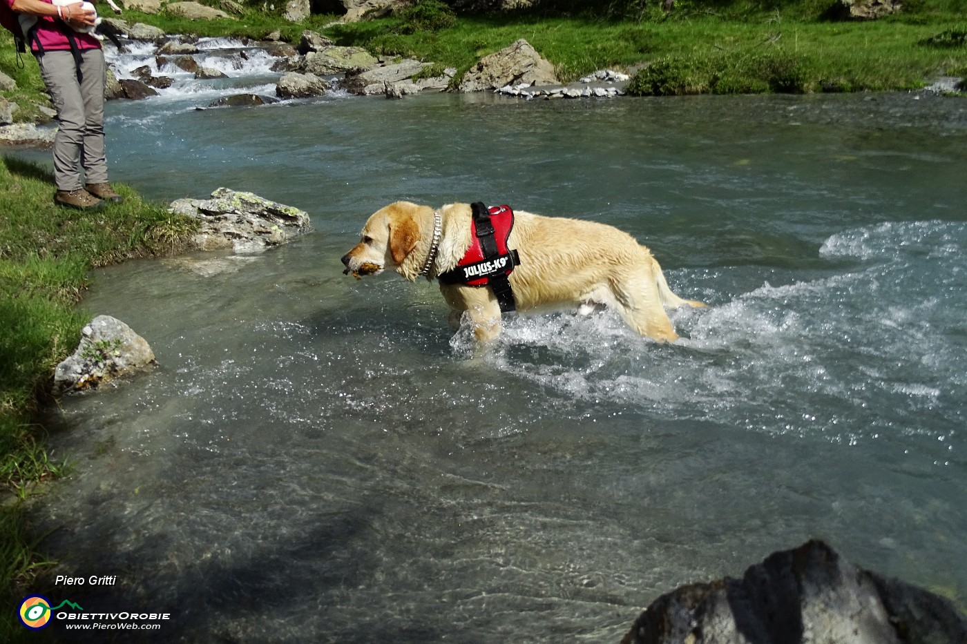 89 Recupera in acqua quanto si getta.JPG